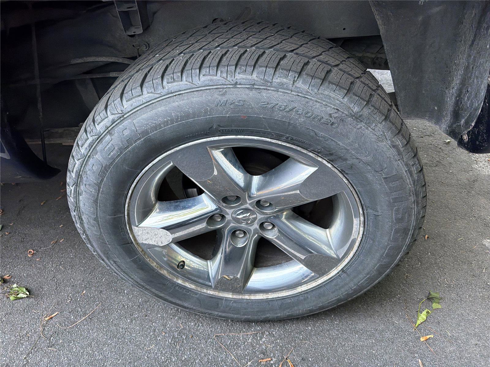 2008 Dodge Ram 1500 Truck SLT