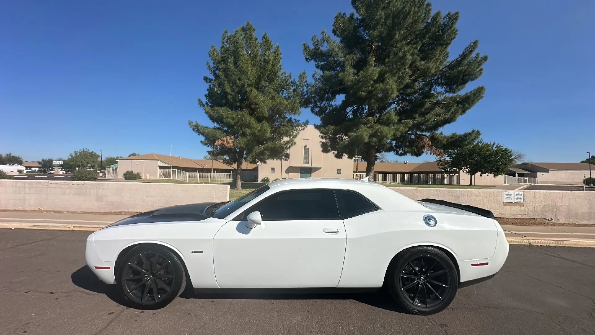 【qqq pppさん専用】 CHALLENGER ALL BREEDERS qqq pppさん専用】 CHALLENGER ALL BREEDERS