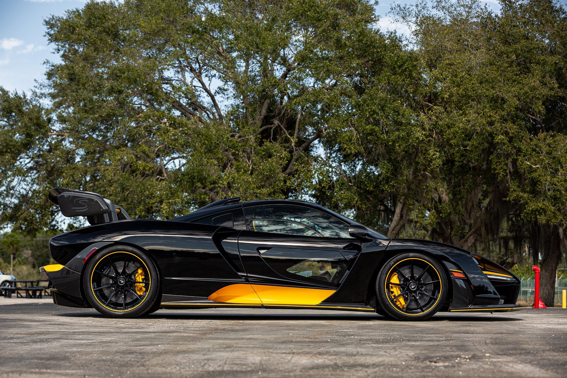 Used 2019 McLaren Senna photo 39