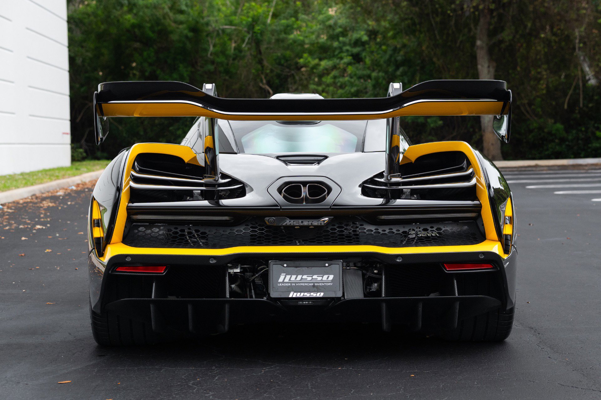 Used 2019 McLaren Senna photo 39