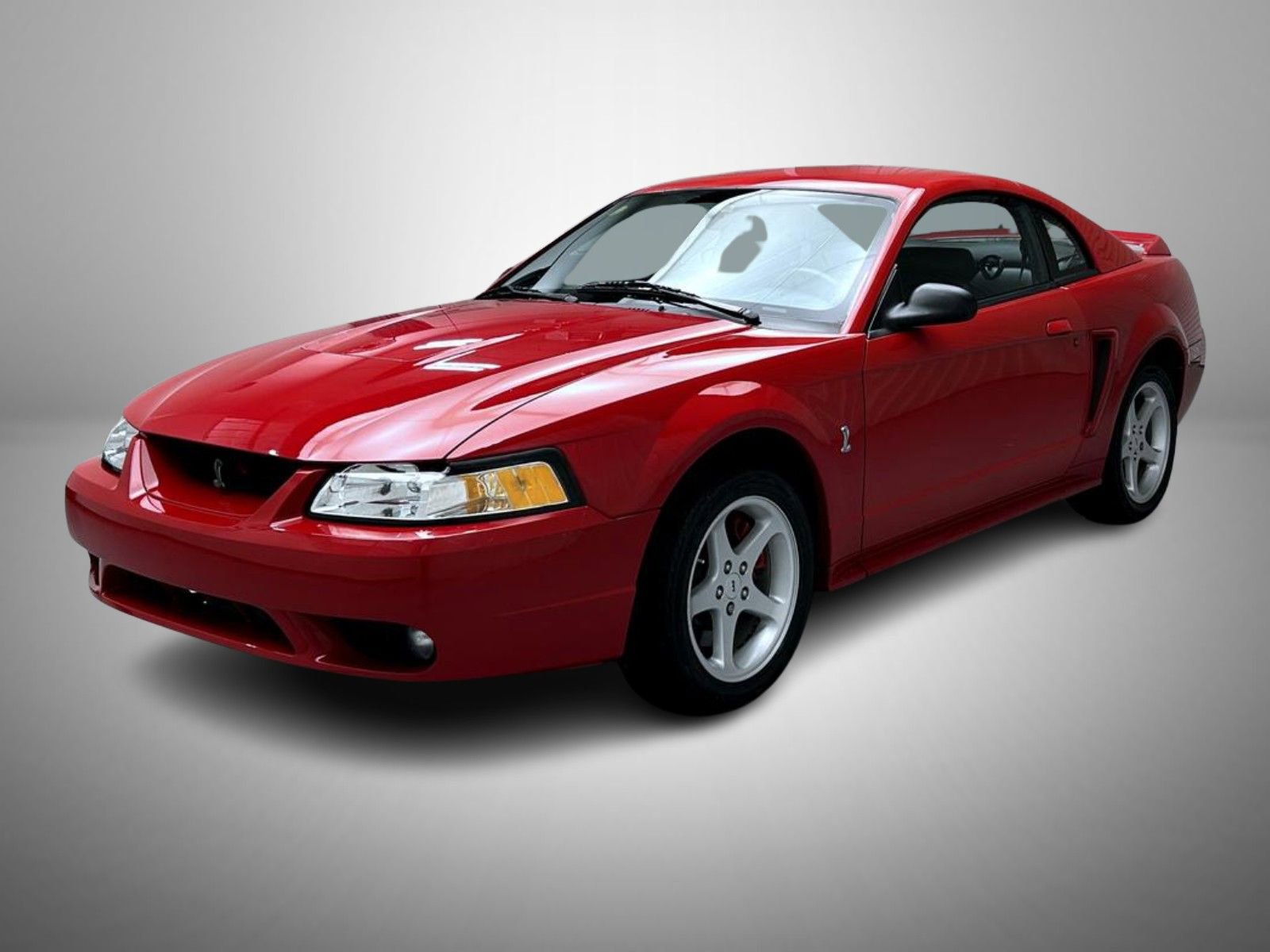 Used 1999 Ford Mustang Cobra