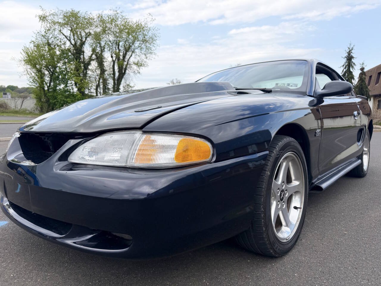 Photo 4