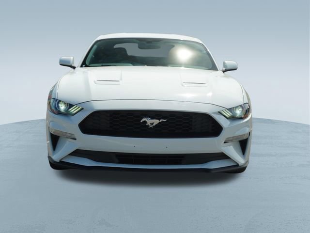 2019 Ford Mustang Coupe
