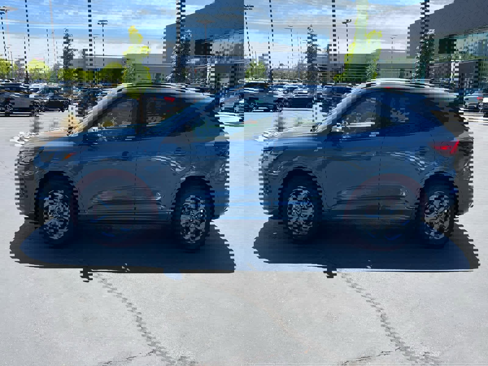 2023 Ford Escape ST-Line