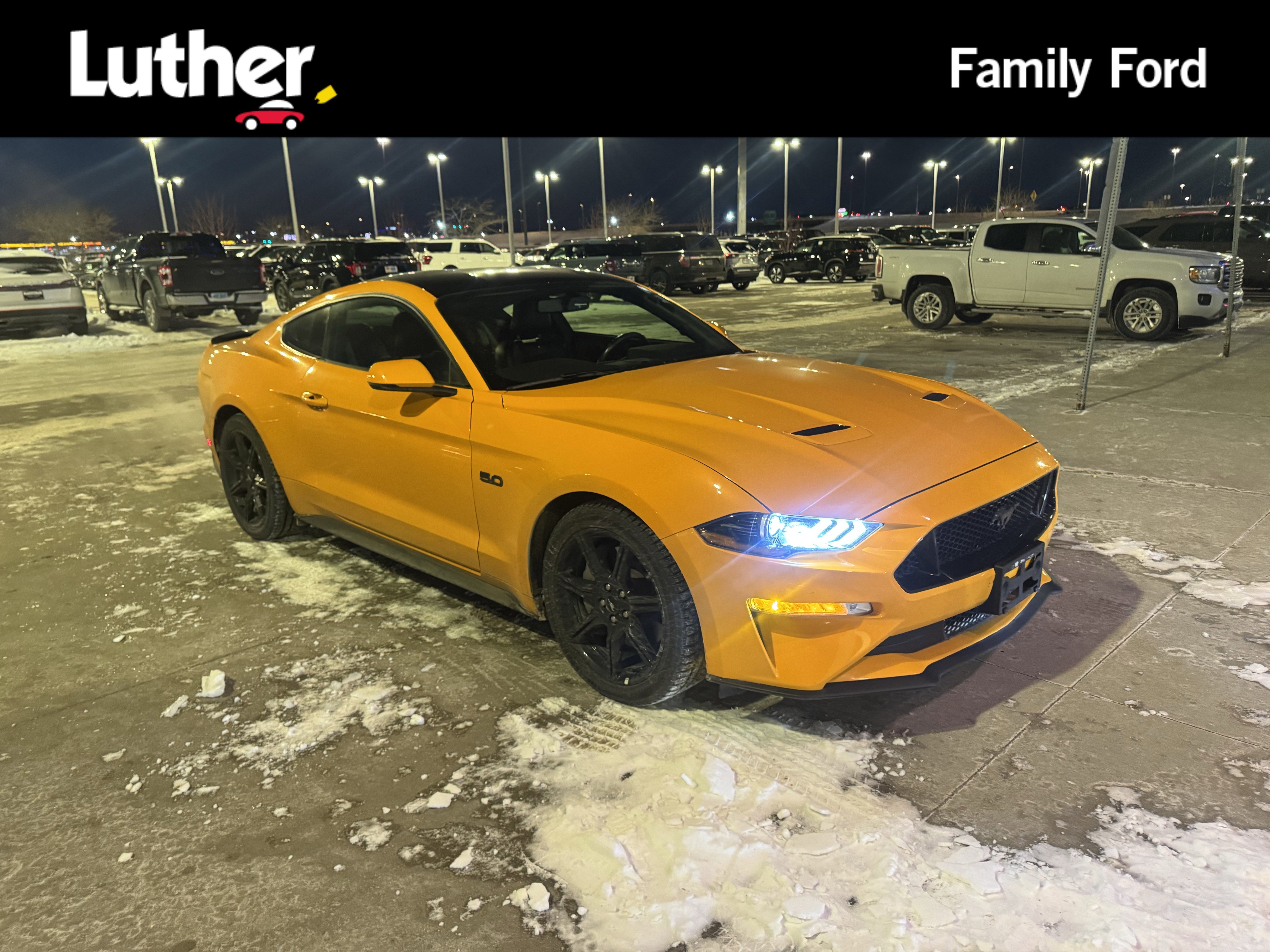 Used 2019 Ford Mustang GT Premium for Sale Near Me - Autotrader