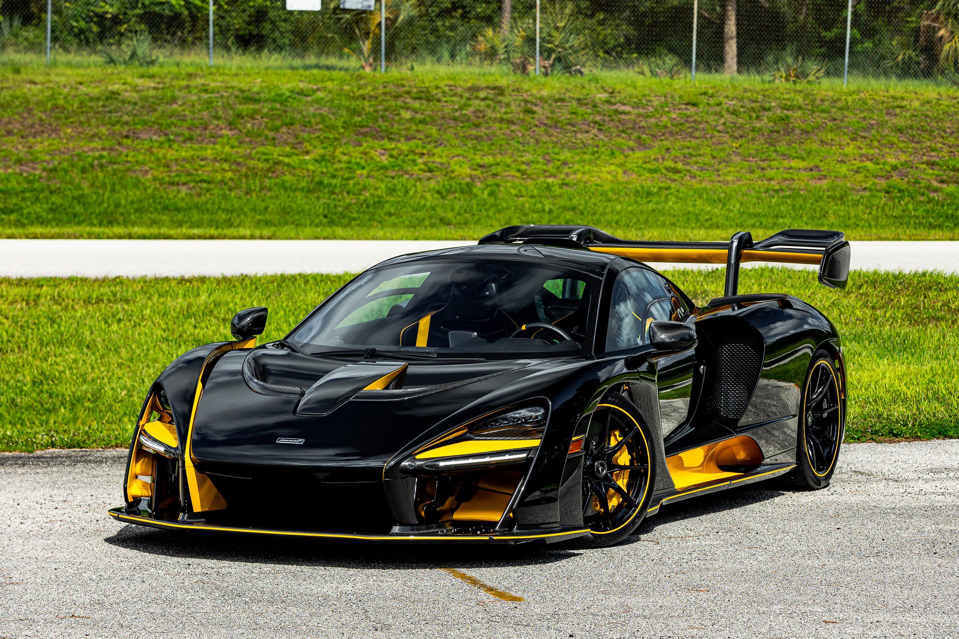 Used 2019 McLaren Senna photo 80