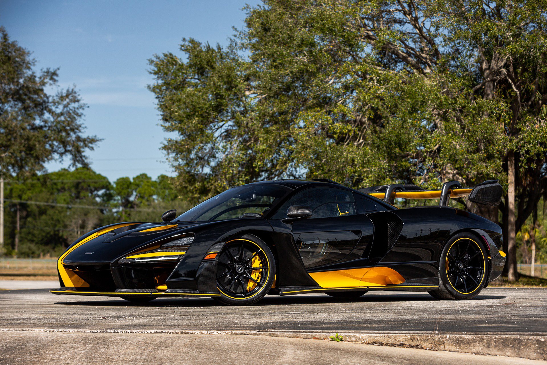 Used 2019 McLaren Senna photo 6