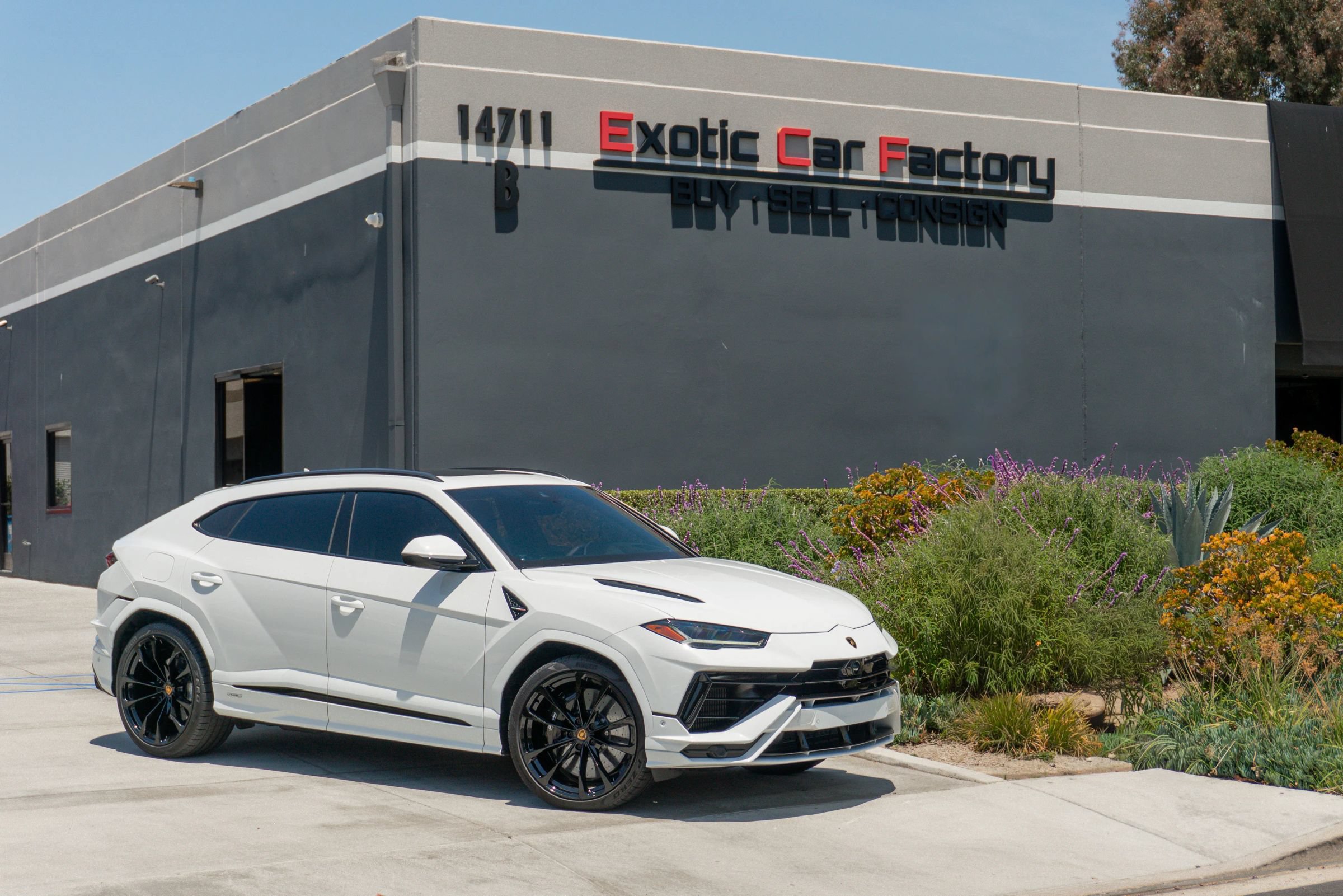Used 2023 Lamborghini Urus S