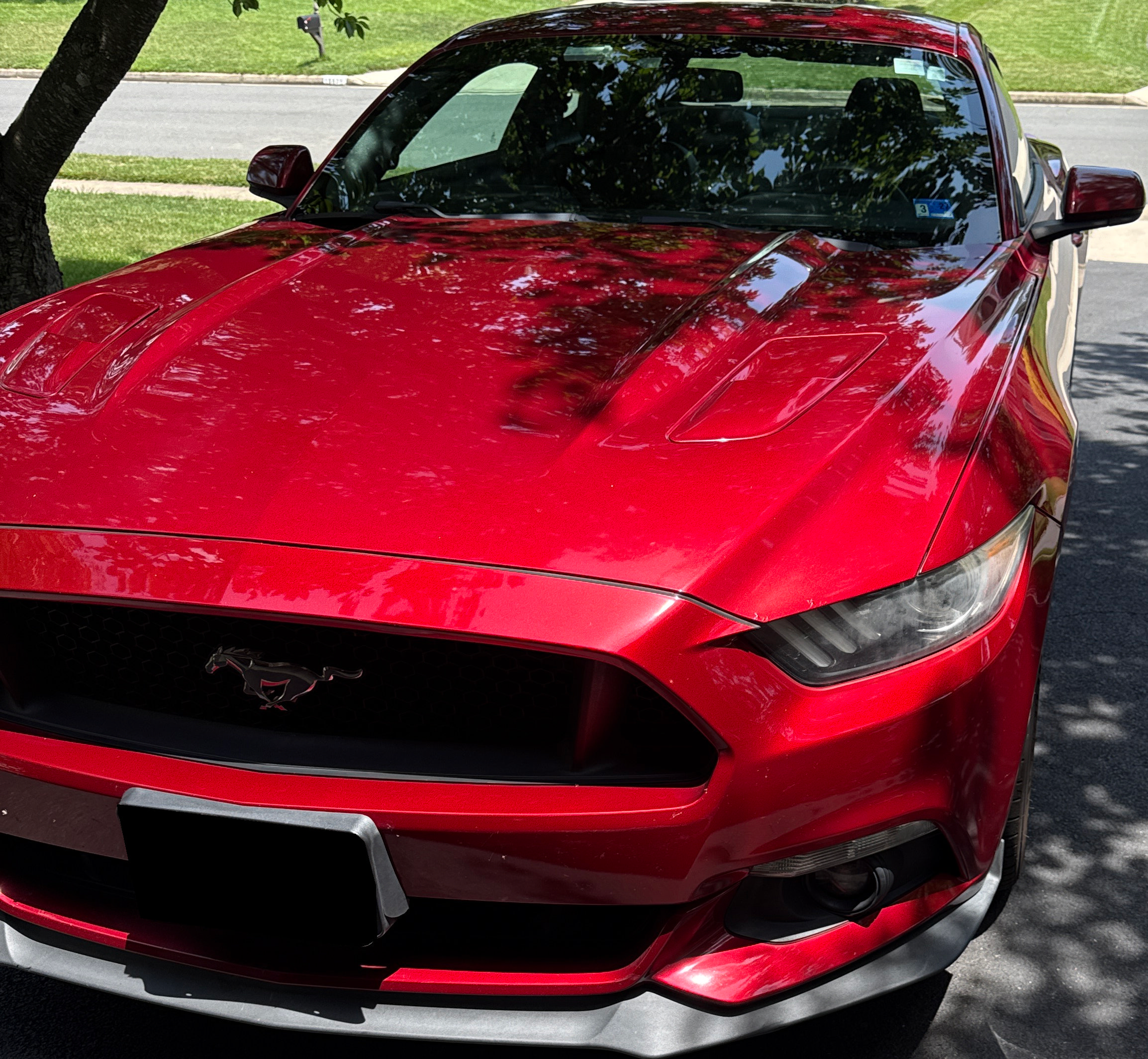 Used 2017 Ford Mustang GT Premium w/ GT Performance Package