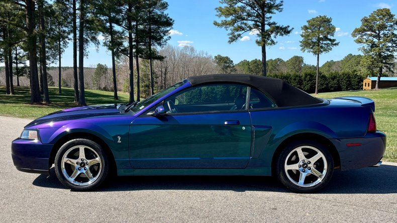 Used 2004 Ford Mustang Cobra
