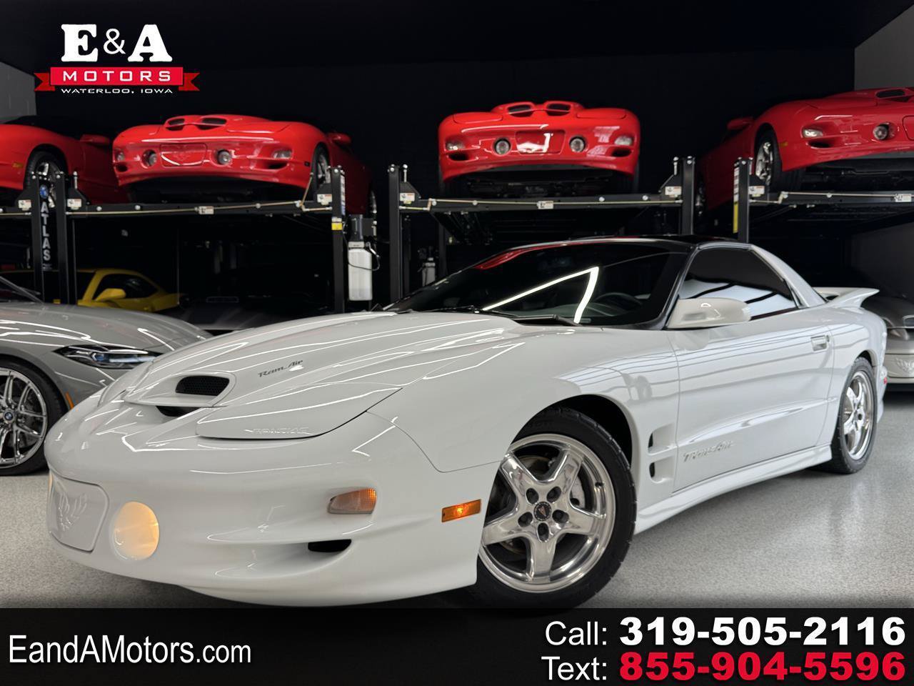 Used 1998 Pontiac Firebird Formula