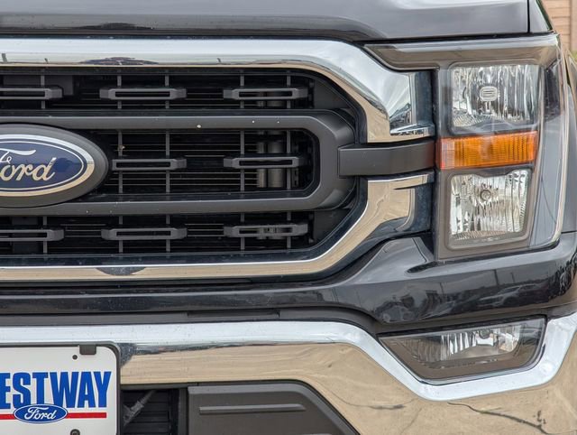 2023 Ford F150 XLT