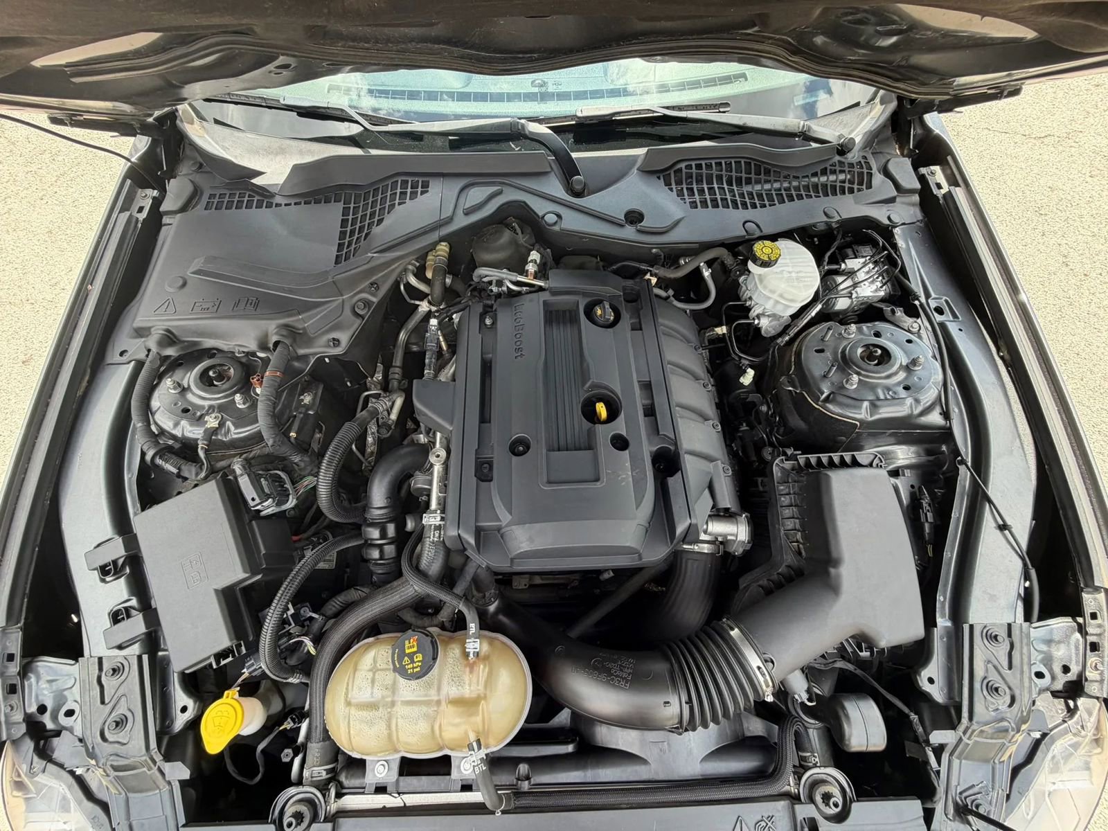 2019 Ford Mustang Coupe