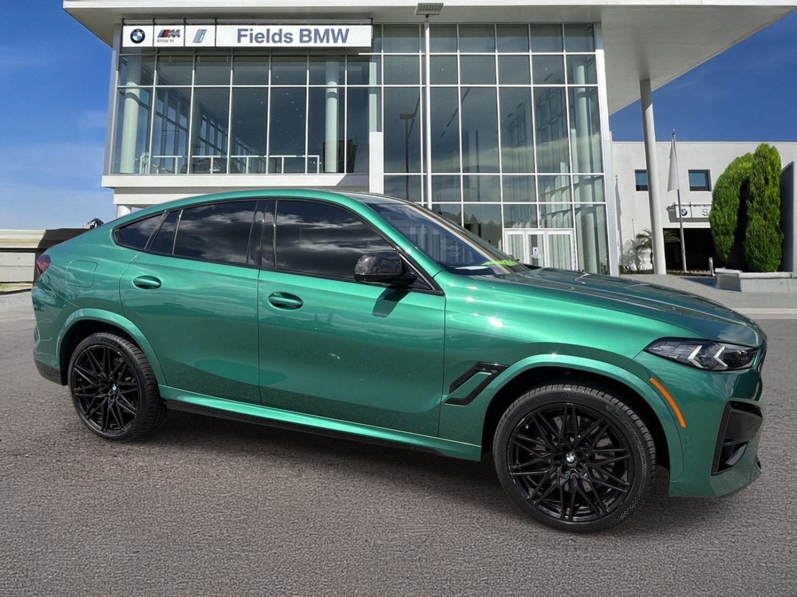 2024 BMW X6 M