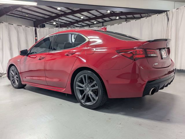 2019 Acura TLX w/ Technology & A-SPEC Pkg