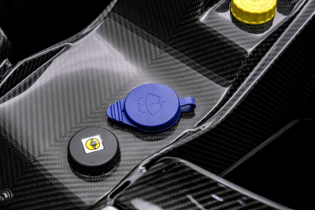 Used 2019 McLaren Senna photo 49