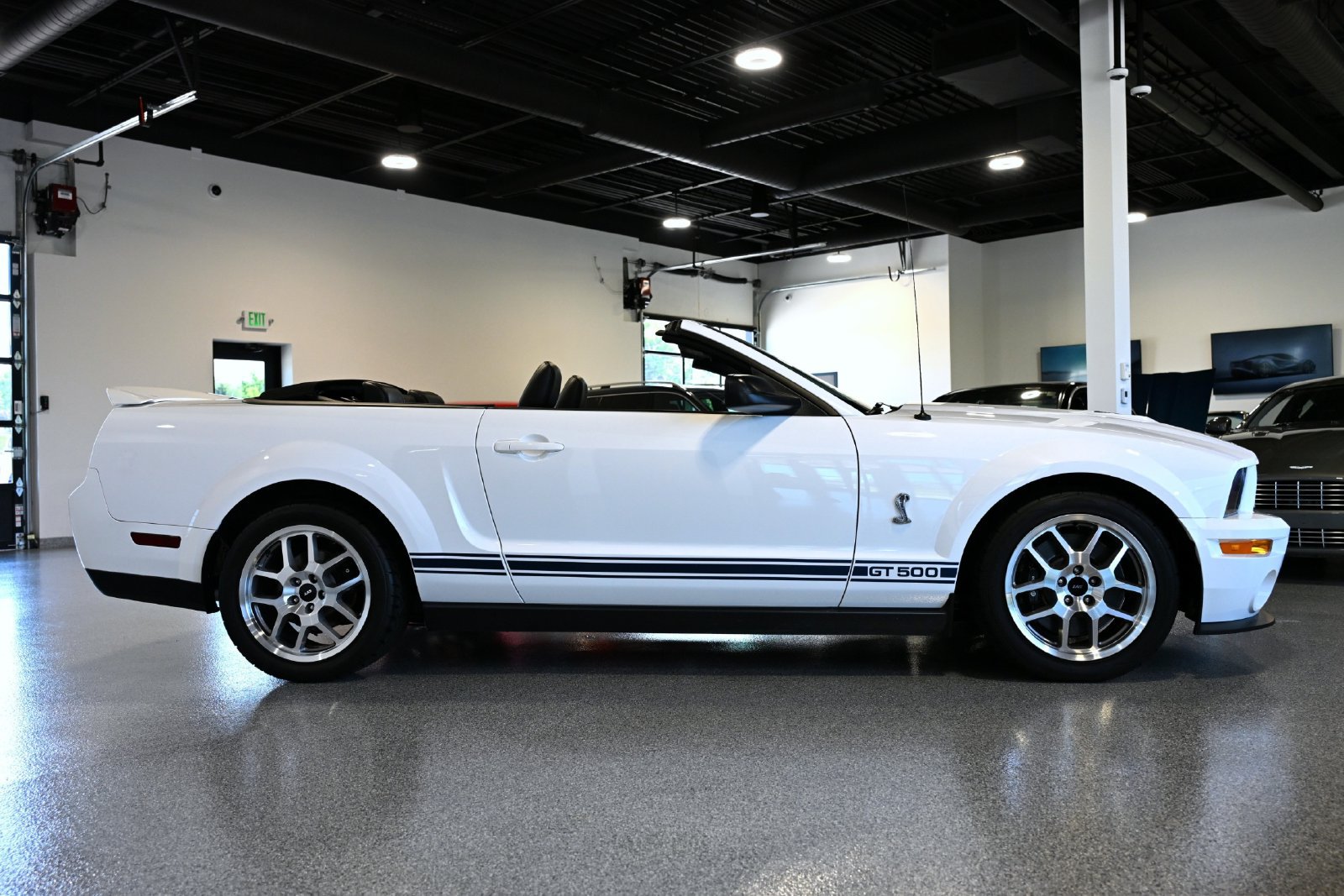 Photo 5