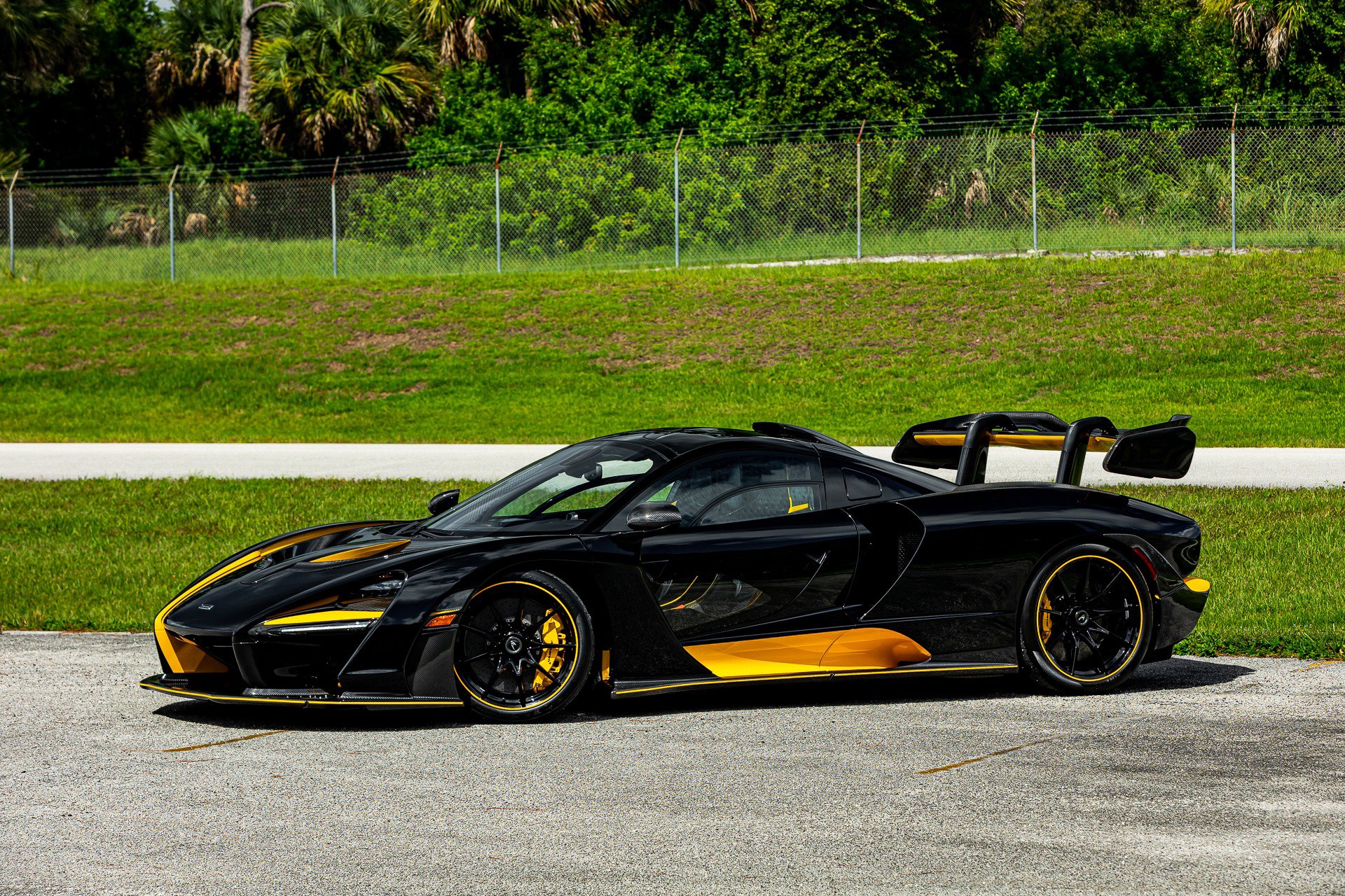 Used 2019 McLaren Senna photo 87