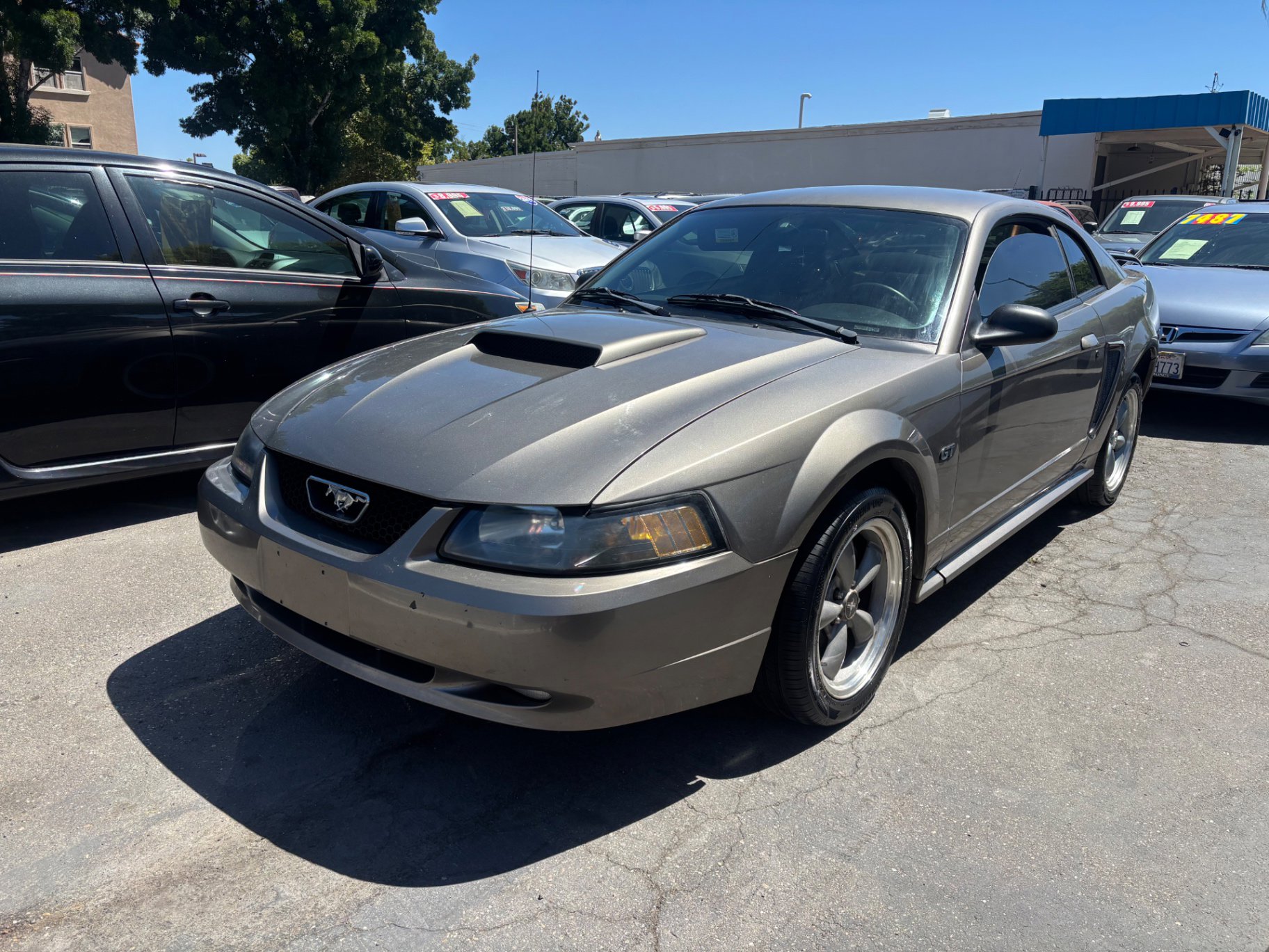 Used 2001 Ford Mustang GT