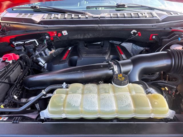 2019 Ford F150 Raptor