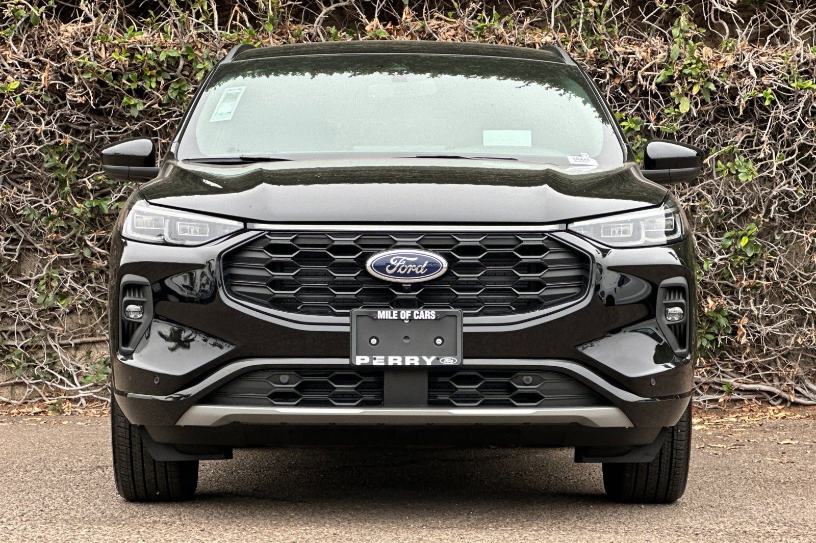 2024 Ford Escape ST-Line Elite