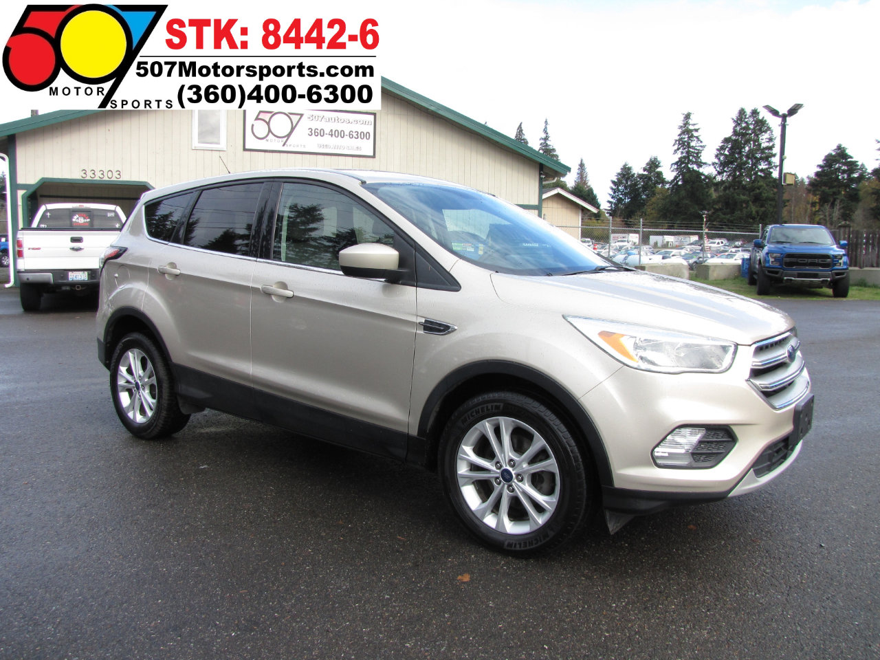 2017 Ford Escape SE