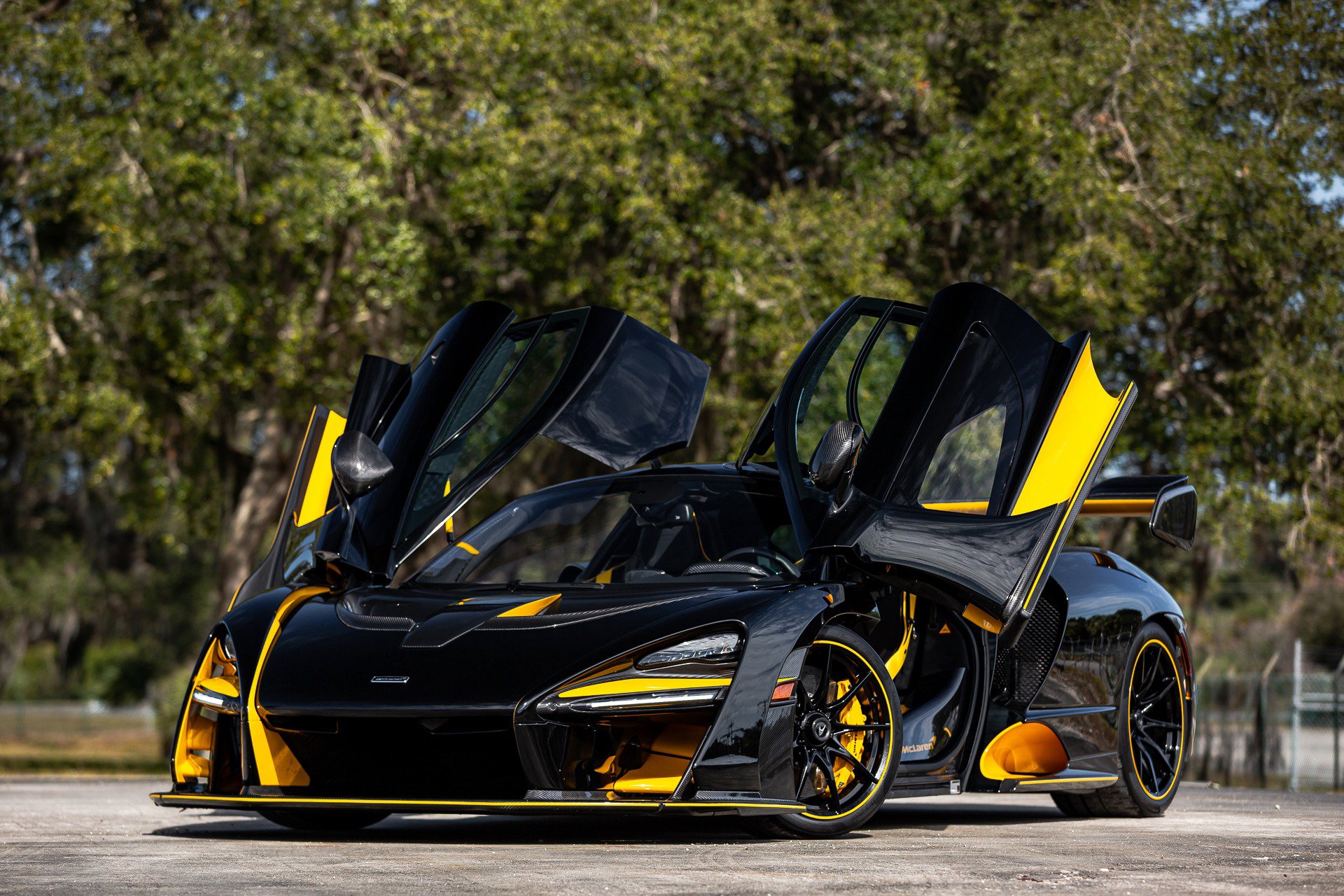 Used 2019 McLaren Senna photo 75