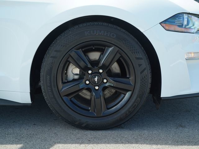 2019 Ford Mustang Coupe