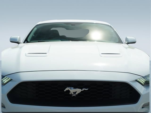 2019 Ford Mustang Coupe