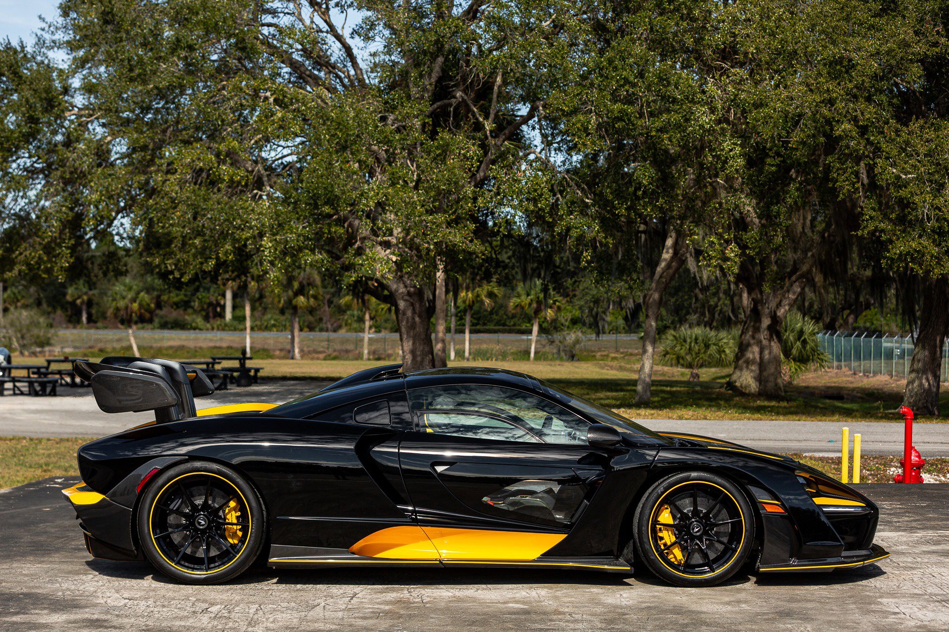 Used 2019 McLaren Senna photo 33