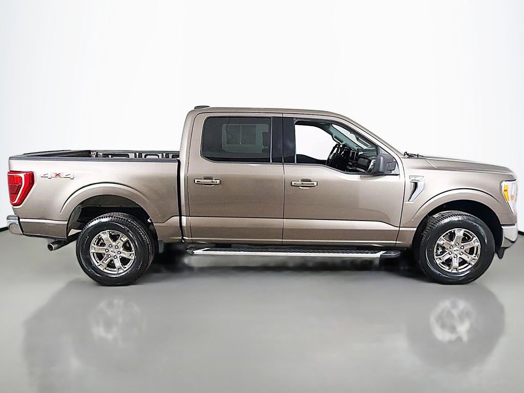 2023 Ford F150 XLT