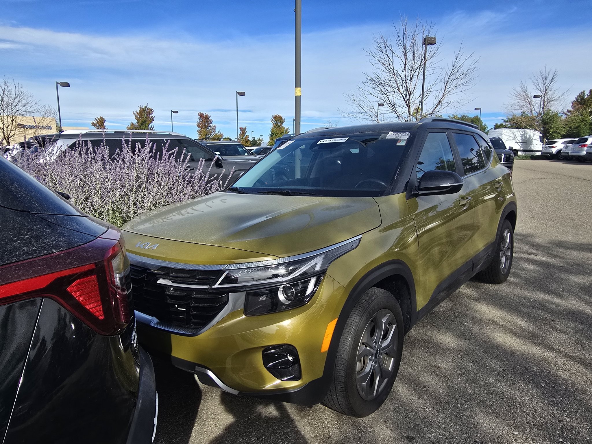 Used 2024 Kia Seltos S