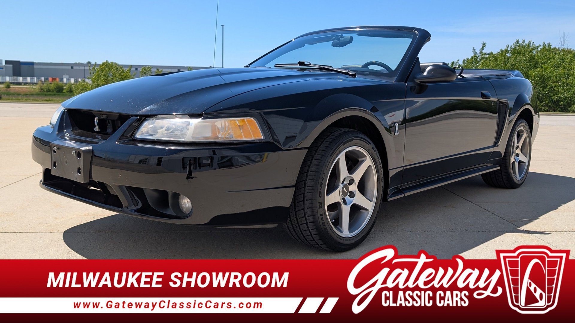 Used 1999 Ford Mustang Cobra