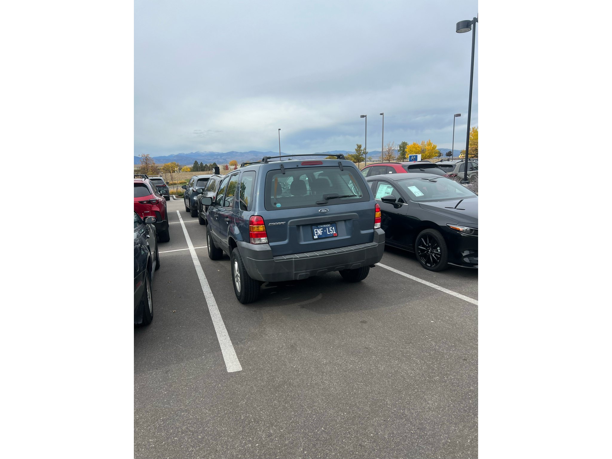 Used 2006 Ford Escape XLS