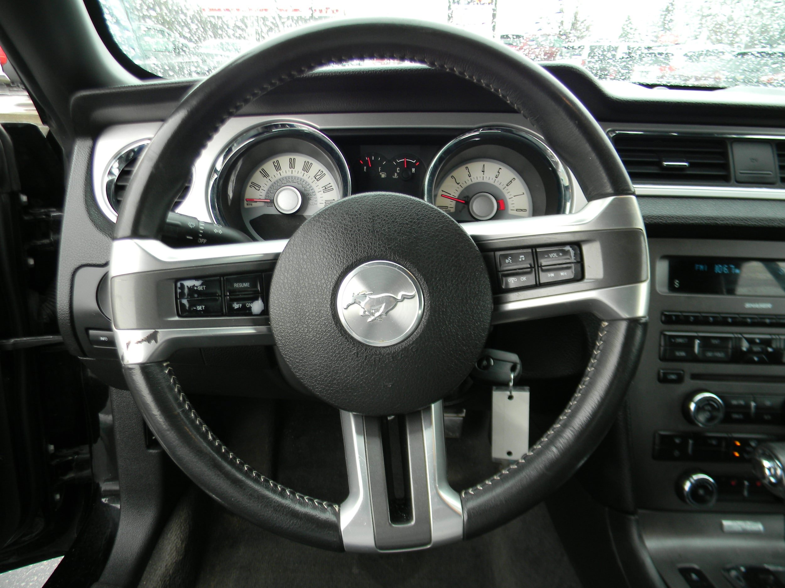 Photo 8