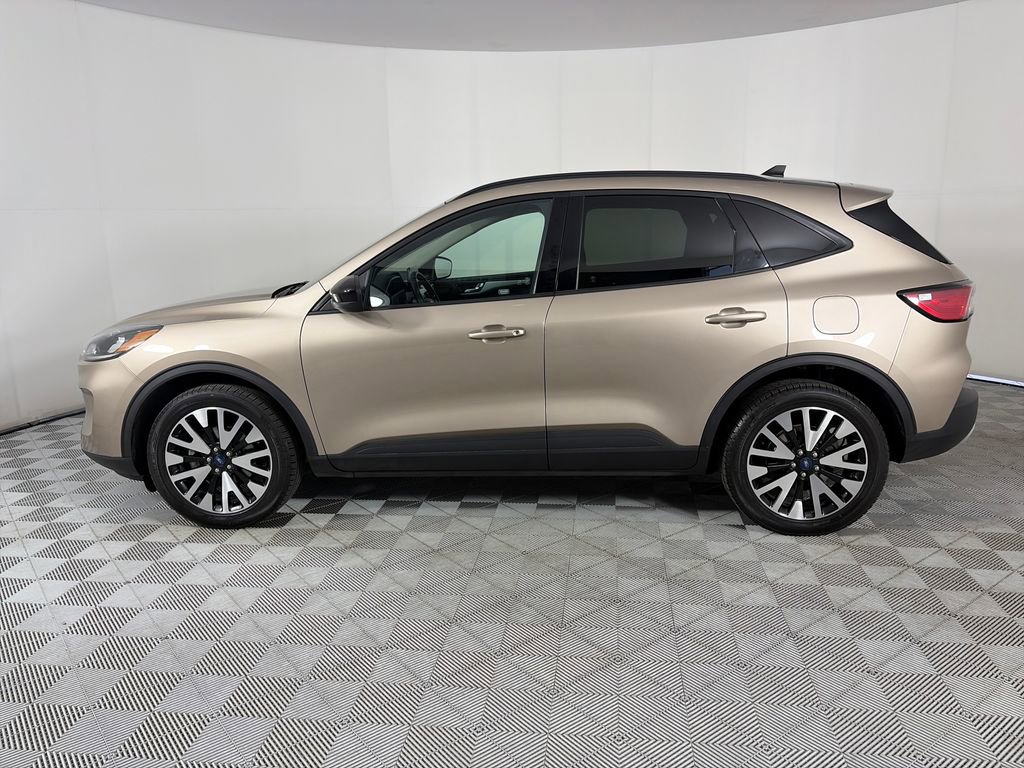 2020 Ford Escape SE Sport