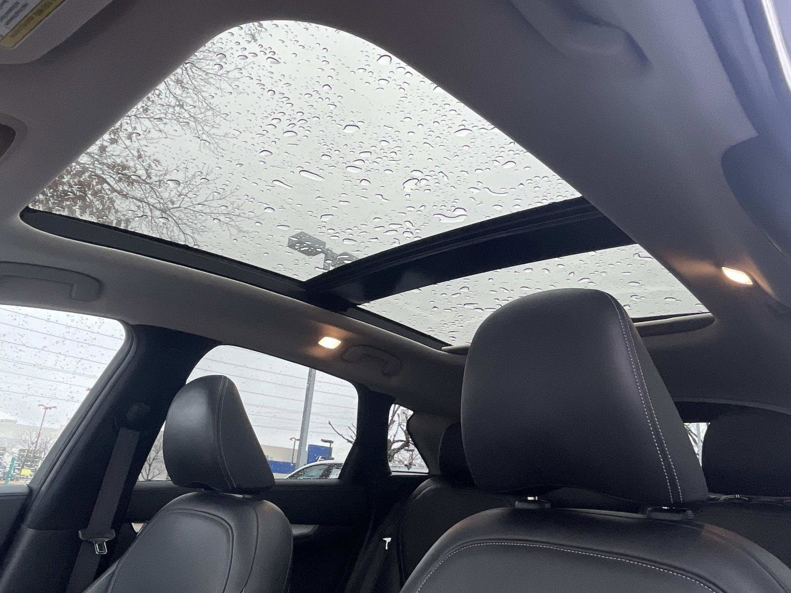 2019 INFINITI Qx50 Essential