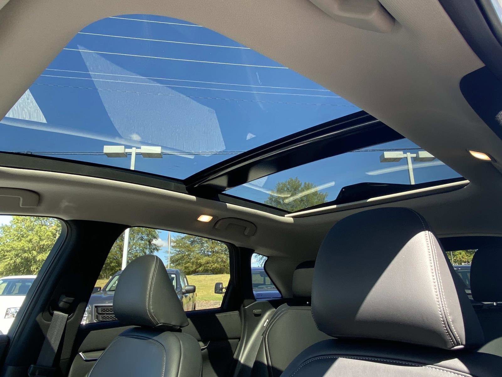 2025 INFINITI Qx50 Luxe