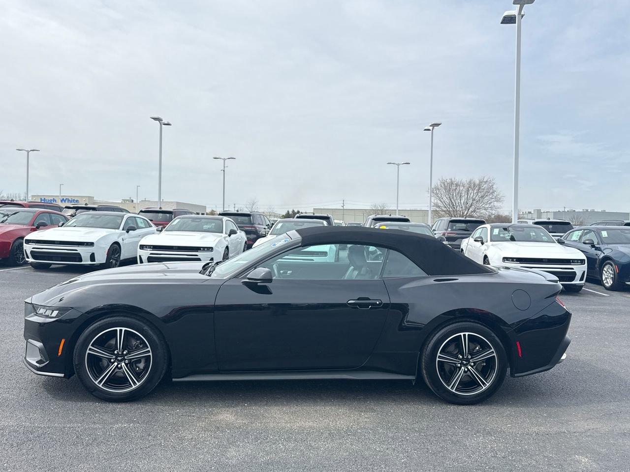 2024 Ford Mustang Premium