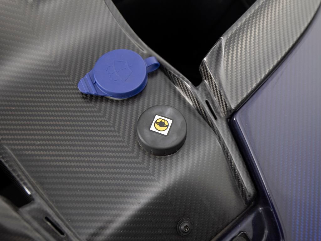 Used 2019 McLaren Senna photo 78