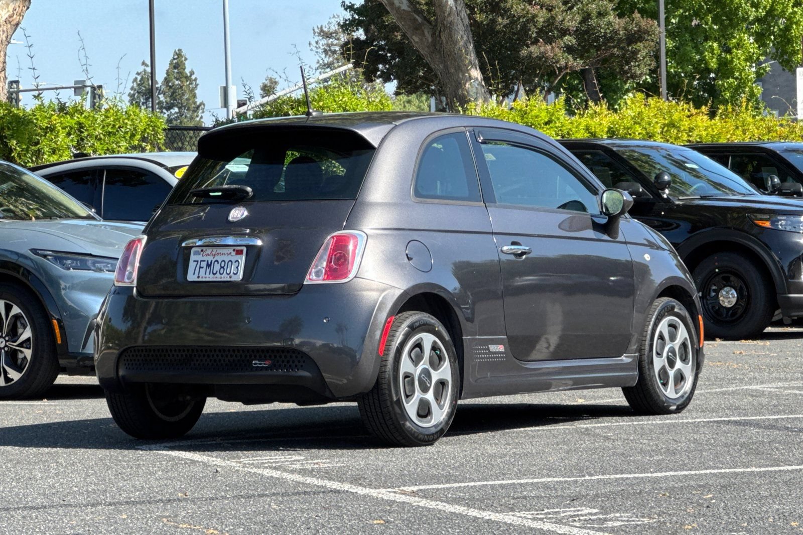 Photo 4