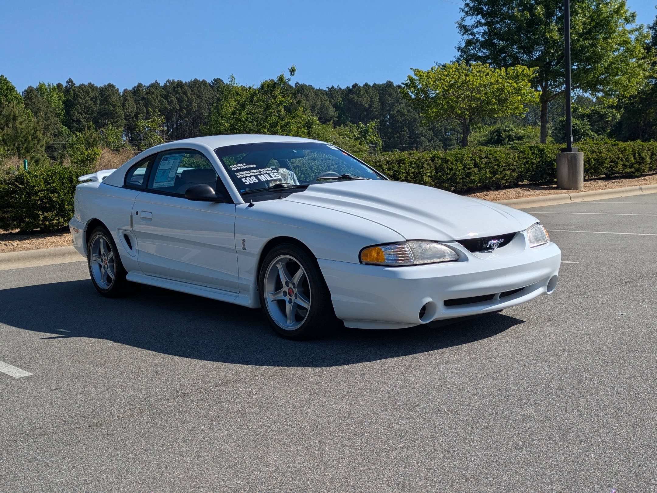 Used 1995 Ford Mustang Cobra R