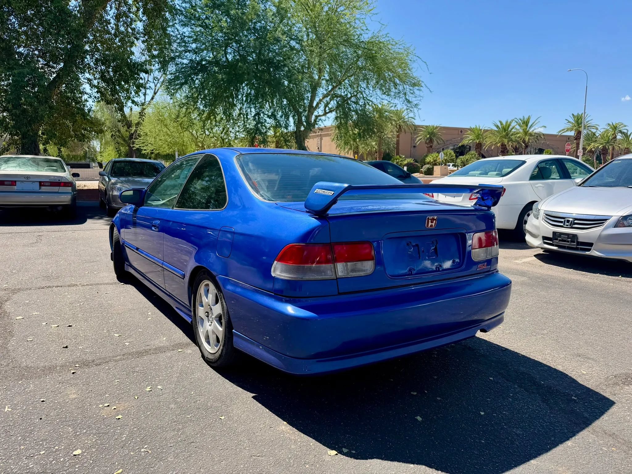 Photo 7