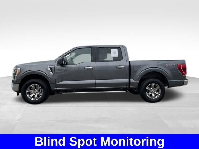 2023 Ford F150 XLT
