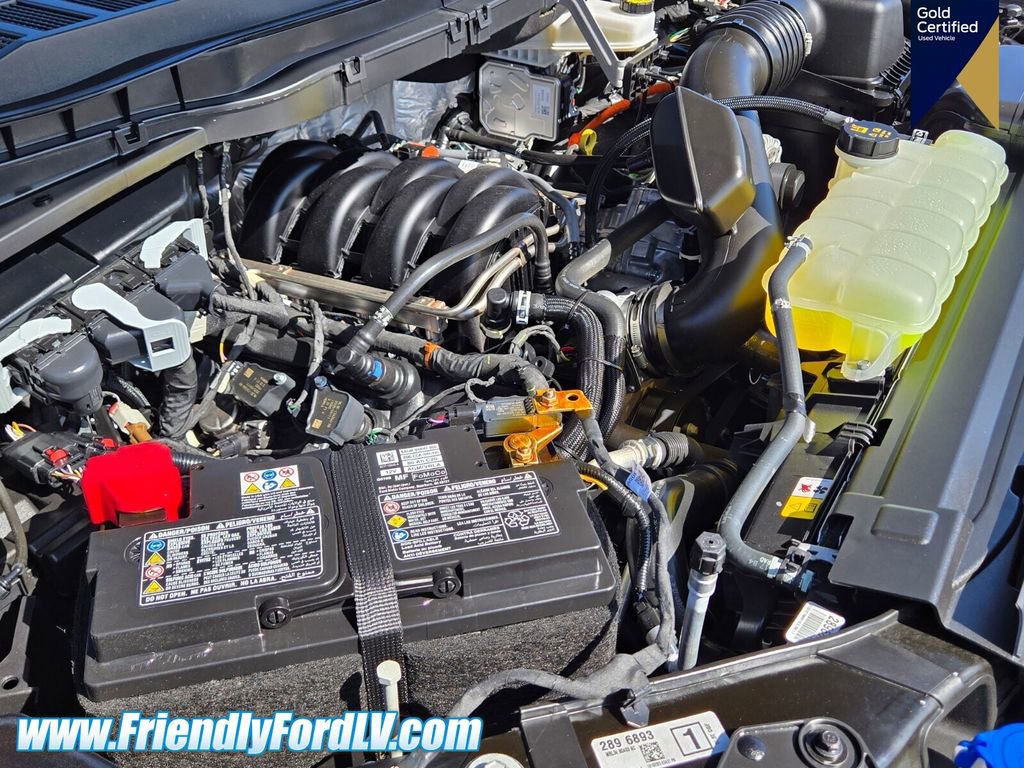 2025 Ford F150 Tremor