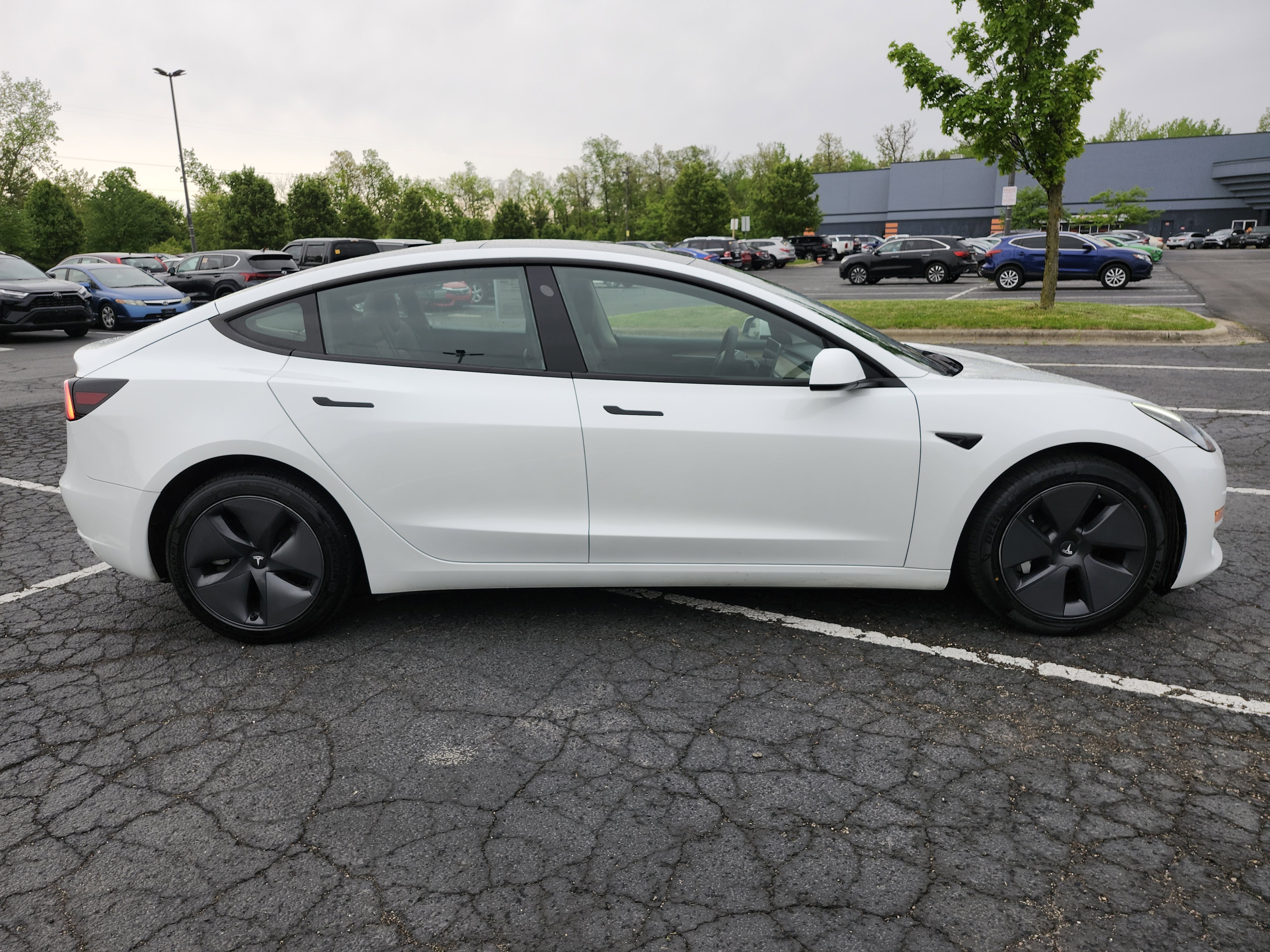 2023 Tesla Model 3 Standard Range