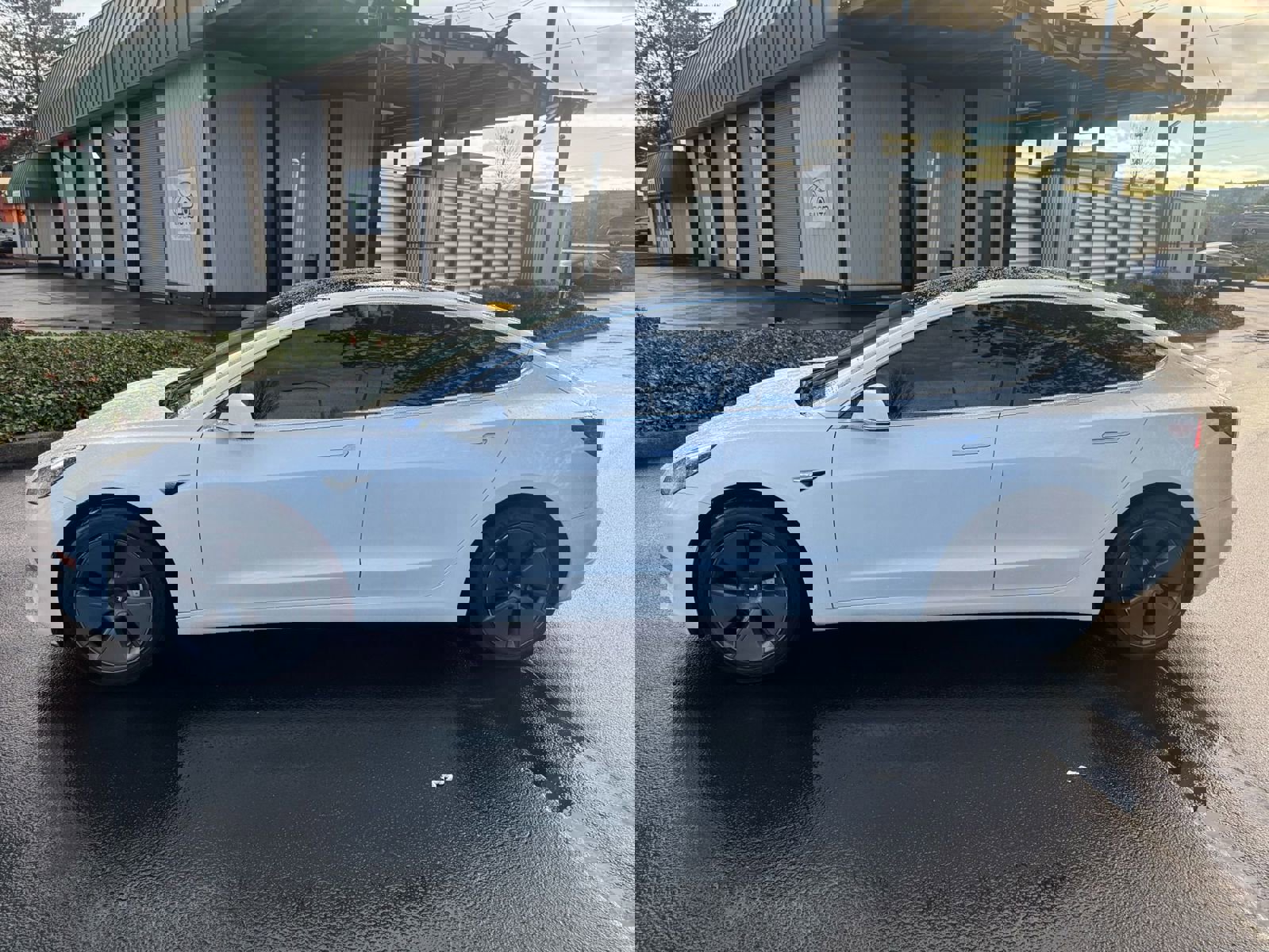 2020 Tesla Model 3 Standard Range Plus