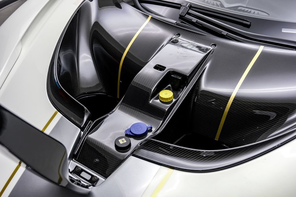 Used 2019 McLaren Senna photo 48