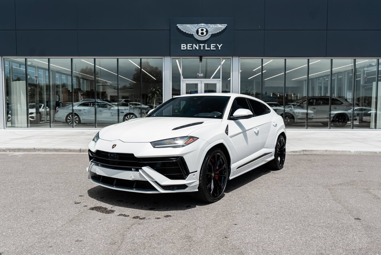 Used 2024 Lamborghini Urus S