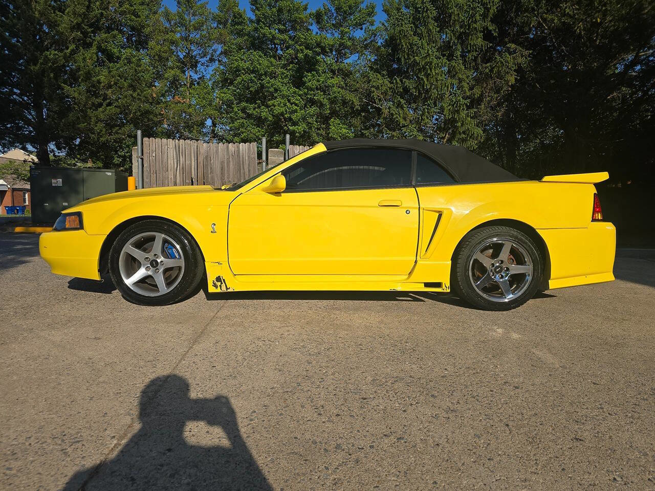 Photo 4